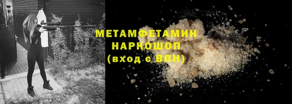 гидра Богородск