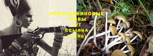 гидропоника Верхнеуральск
