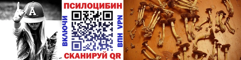 Псилоцибиновые грибы мицелий  Купить  Осташков 